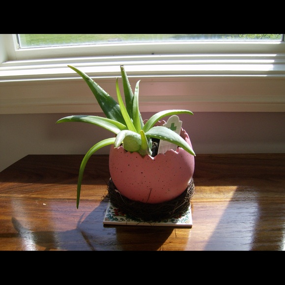 Meet your Posher, Audrey - Picture 1 of 1